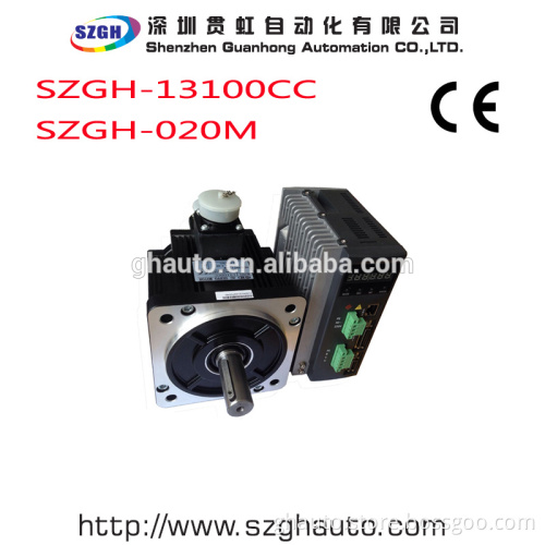 Servo motor and driver